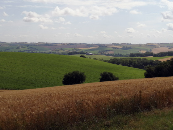 Vue sur la vallée de la Lèze