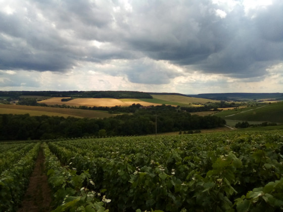 Vue sur la 