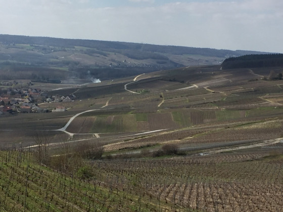 Vue sur la vallée de la Marne