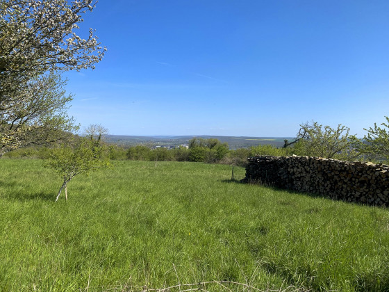 Vue sur la vallée de la Moselle