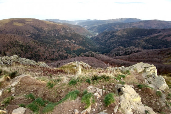 Vue sur la vallée de Munster depuis le Rothenbachkopf (1316 m)