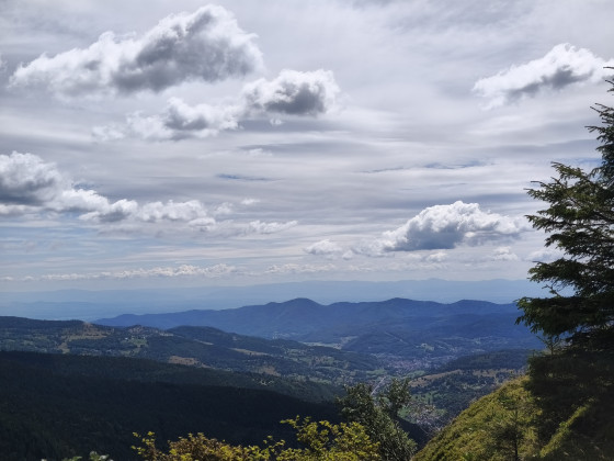 Vue sur la vallée de Munster
