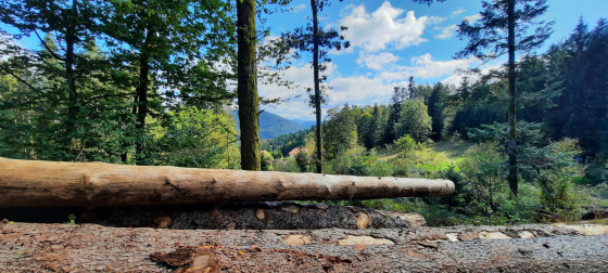 Vue sur la Vallee de Saint-Nabord