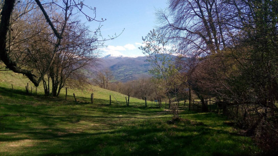 Vue sur la vallée depuis la prairie