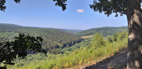 Vue sur la vallée du Ry d'Alise