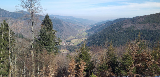 Vue sur la vallée et Mittlach
