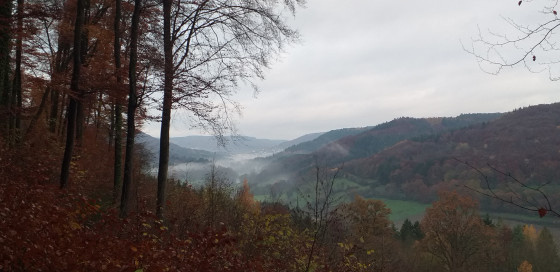 Vue sur la vallée de la Sûre