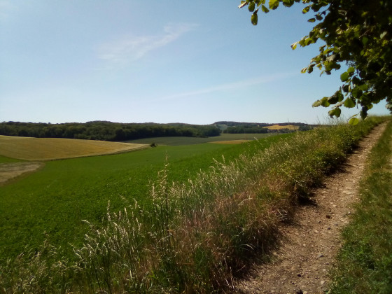 Vue sur la vall&eacute;e