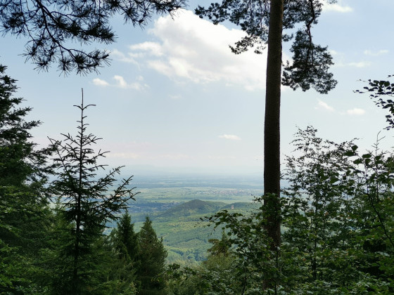 Vue sur la vallée