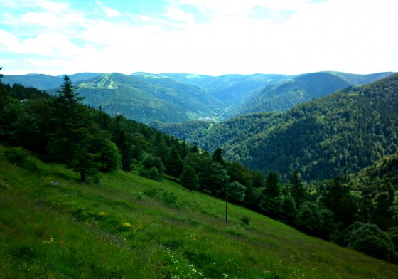 Vue sur la vallée