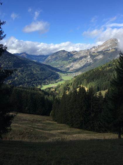 Vue sur la vallée