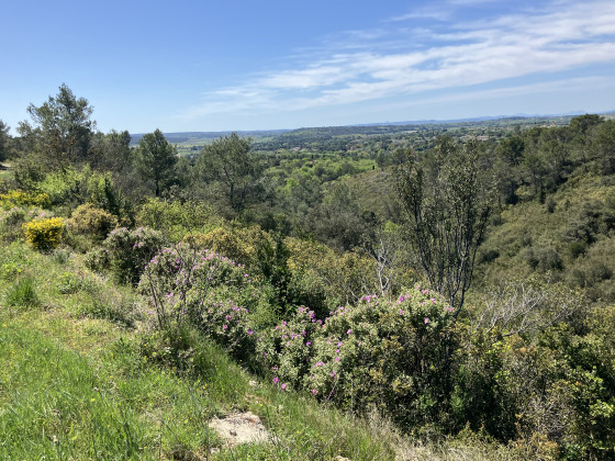 Vue sur la vall&eacute;e