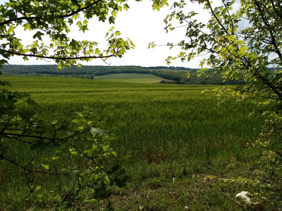 Vue sur la vall&eacute;e