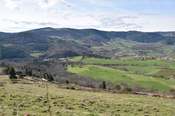 Vue sur la verdure