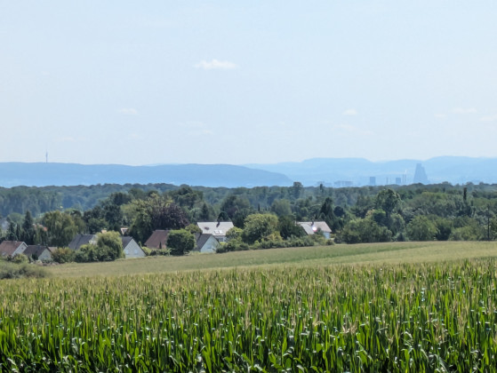 Vue sur la zone des Trois Frontières