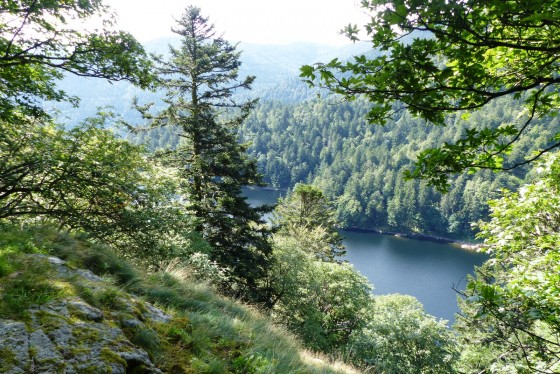 Vue sur Lac Altenweiher