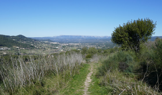 Vue sur le Beausset