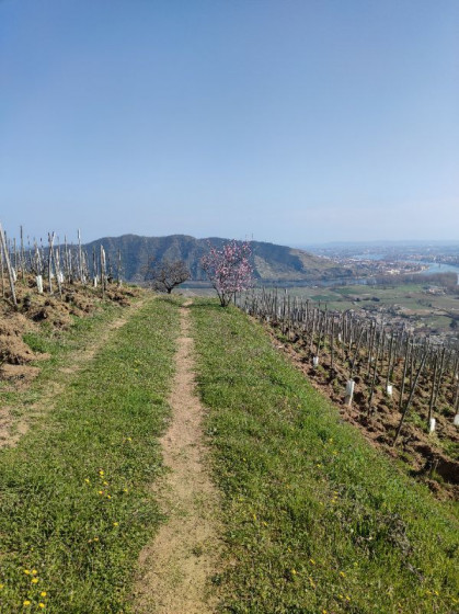 Vue sur le belvédère de Pierreaiguille