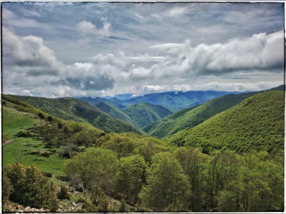 vue sur le bois des fages