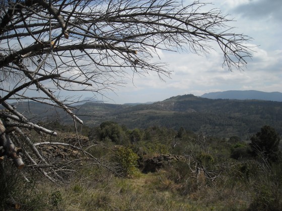 Vue sur le Bugarach et Rennes le Chateau
