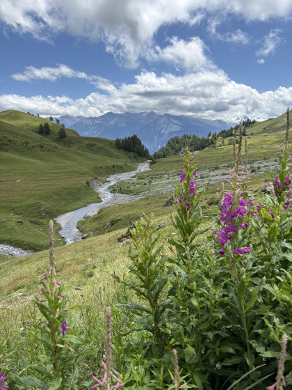 Vue sur le Cervin