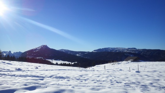 vue sur le chalet (Plan des mouilles)