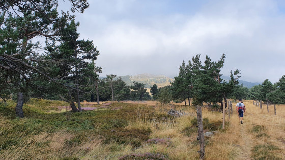 Vue sur le Champ de Mars