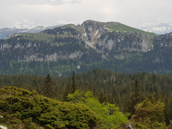 Vue sur le Charmant Som depuis col de la Grande Vache