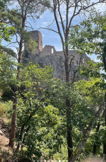 Vue sur le château de Grisberg