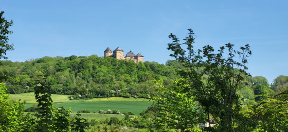 Vue sur le Château de Malbrouck