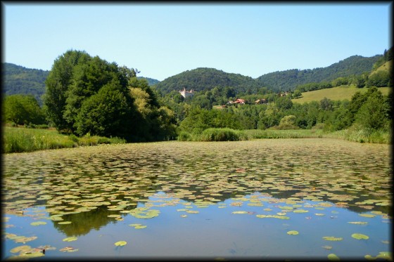 Vue sur le château depuis l\'Etang du Bergureuil