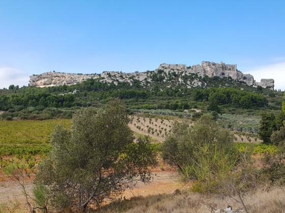 vue sur le château des Baux au milieu des vignes et des oliviers (entre points 7 et 8)