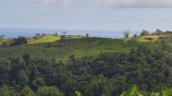 Vue sur le chemin de crête vers le Bois Féfé