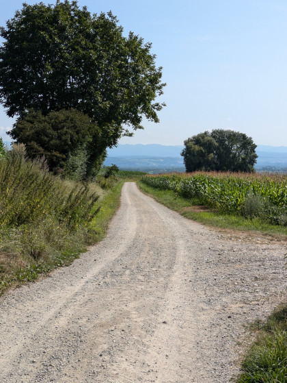 Vue sur le chemin parcouru