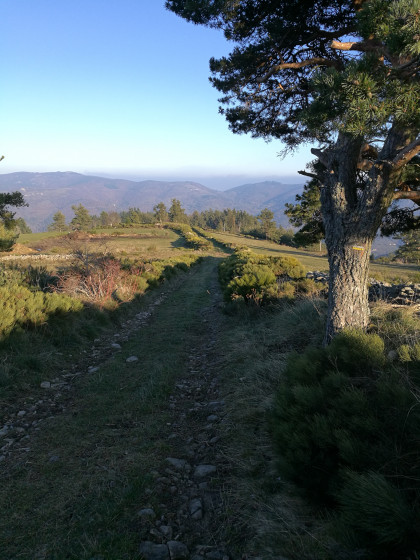 Vue sur le chemin qui mène à Saint-Jeure