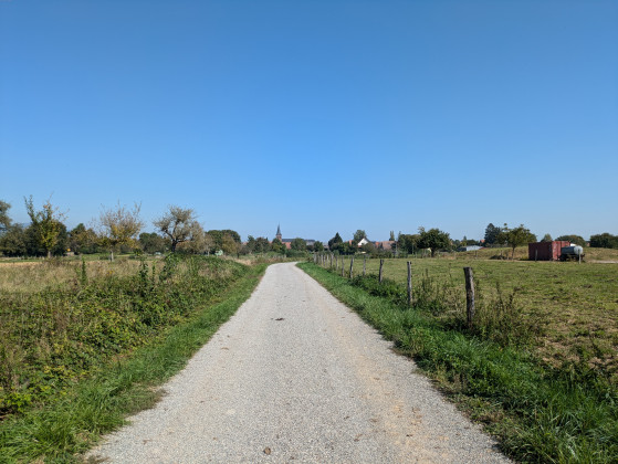 Vue sur le clocher de Schweighouse