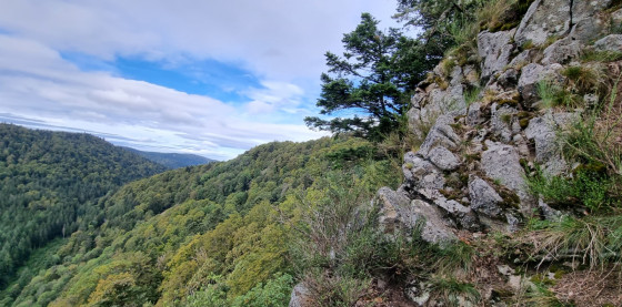 Vue sur le col d'Oderen depuis les rochers des hauts de Felsach. &copy; PASSION VOSGES