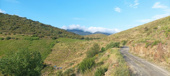 Vue sur le Coll del Bast (139m)