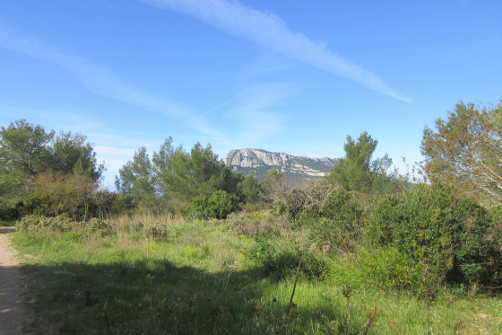 Vue sur le Coudon