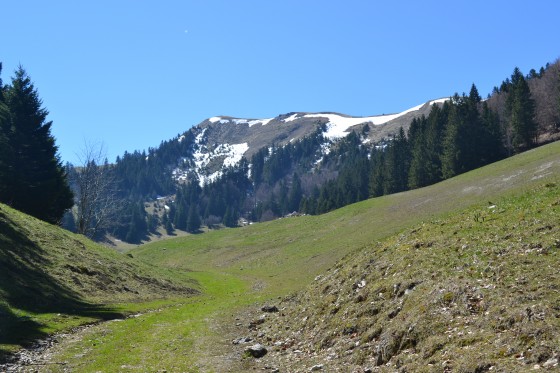 vue sur le Crét des Frasses