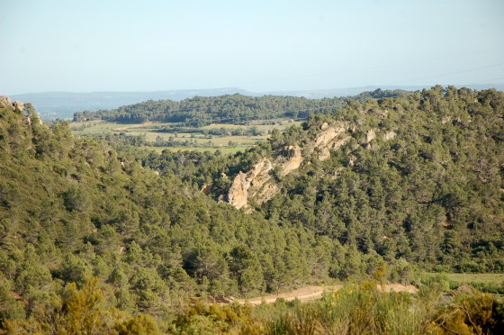 Vue sur le d&eacute;fil&eacute; Ste Foi