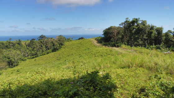 Vue sur le domaine de la Ferme de la Digue