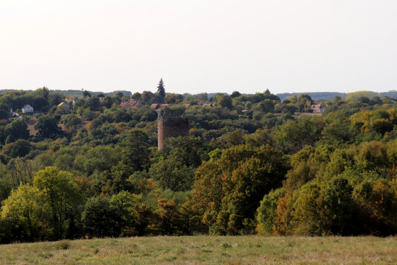Vue sur le donjon de Ch&acirc;teaubrun et Cuzion