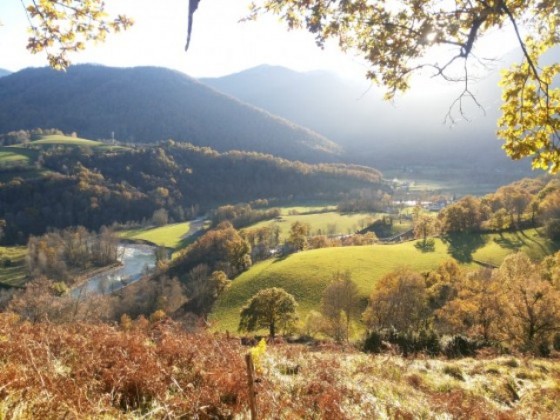 Vue sur le Gave de Pau et la for&ecirc;t de Tr&egrave;s Croutz