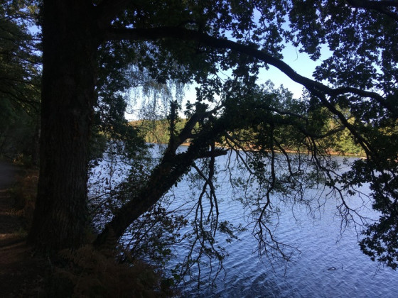 Vue sur le grand lac de la Vallée Mabille