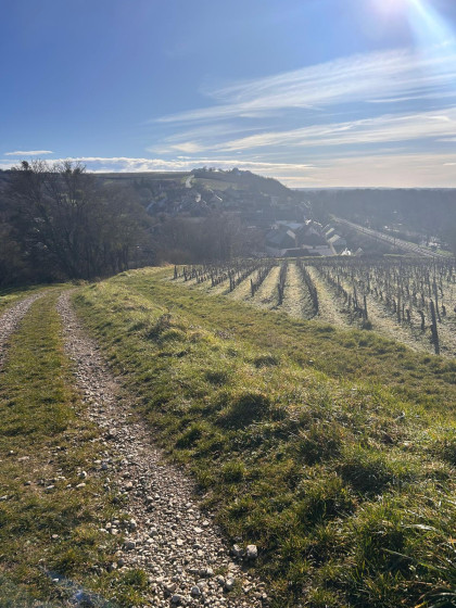 Vue sur le hameau viticole des Loges