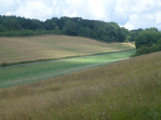 Vue sur le haut du vallon au-dessus de Sainte-Geneviève-lès-Gasny
