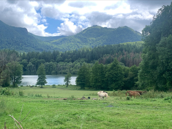 Vue sur le Lac de Lourdes 2