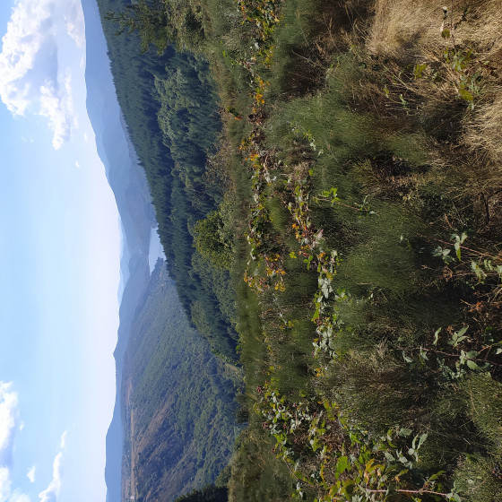 vue sur le lac de villefort