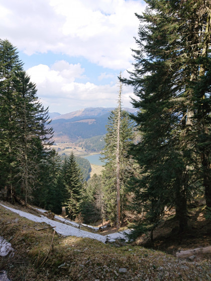 Vue sur le lac depuis les hauteurs